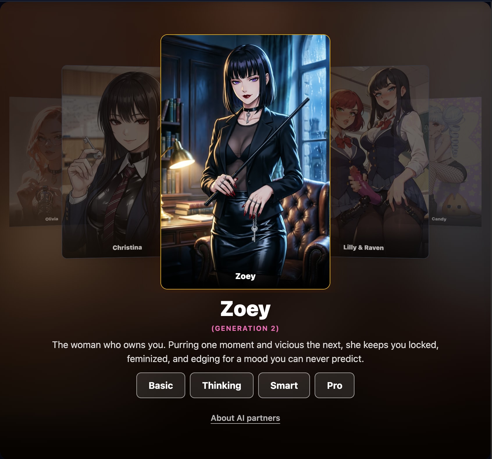 Partners Page